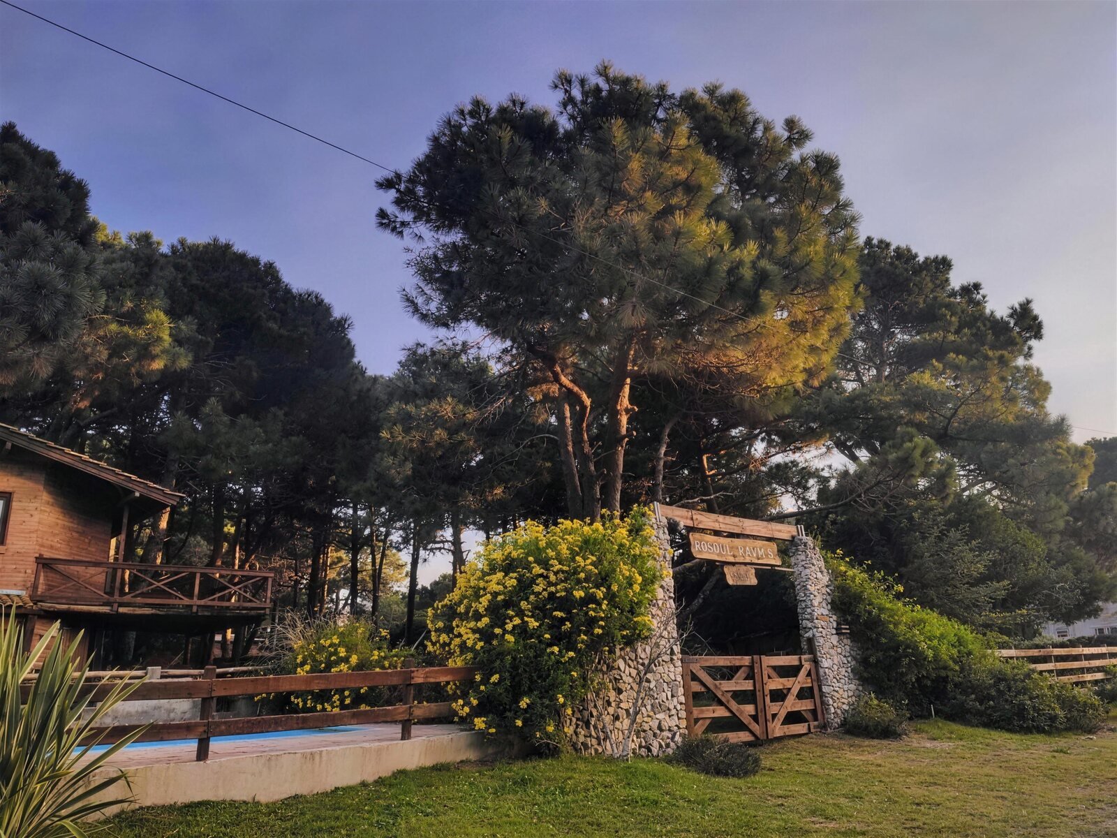 Entrada de Bosque Rayms al atardecer: portón de madera, cartel tallado y flores amarillas entre los pinos