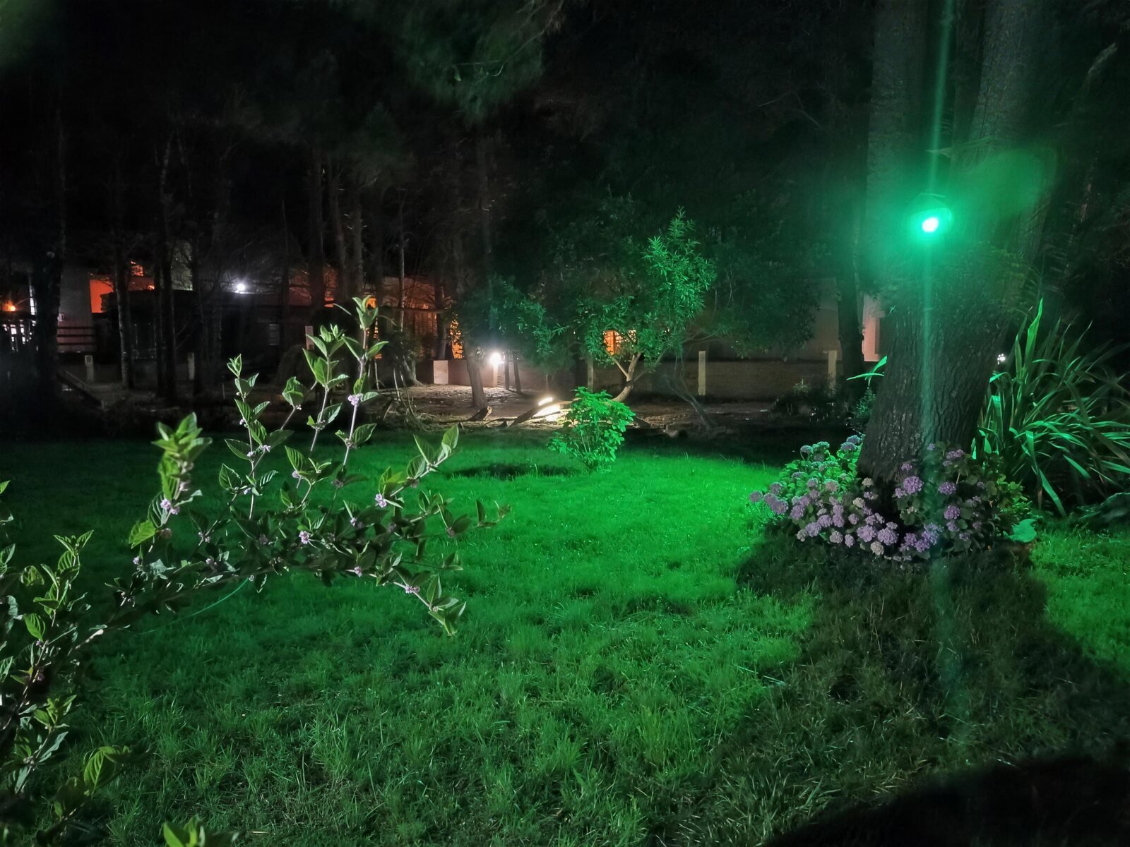 El parque del complejo iluminado de noche, con hortensias y faroles entre los árboles